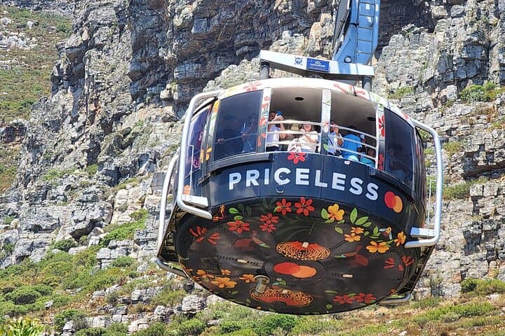 Private Tour: Table Mountain Boulder's Beach Penguin Cape Point