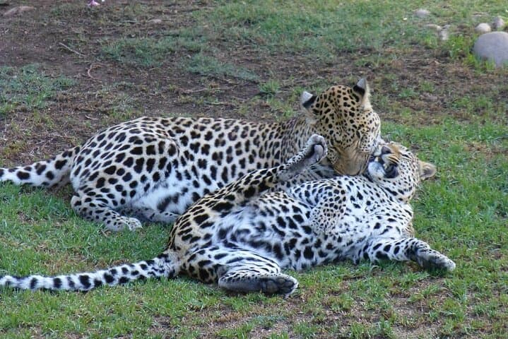 2-day Private Garden Route Tour from Cape Town