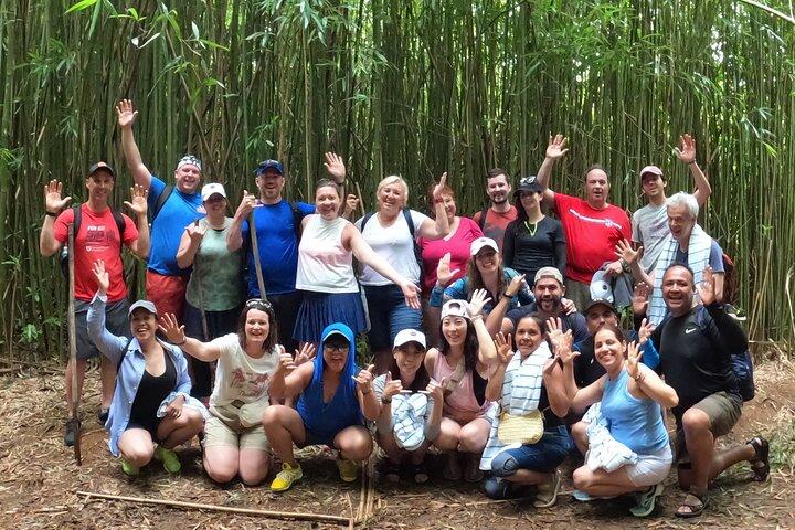 Jungle Waterfall Adventure on Maui
