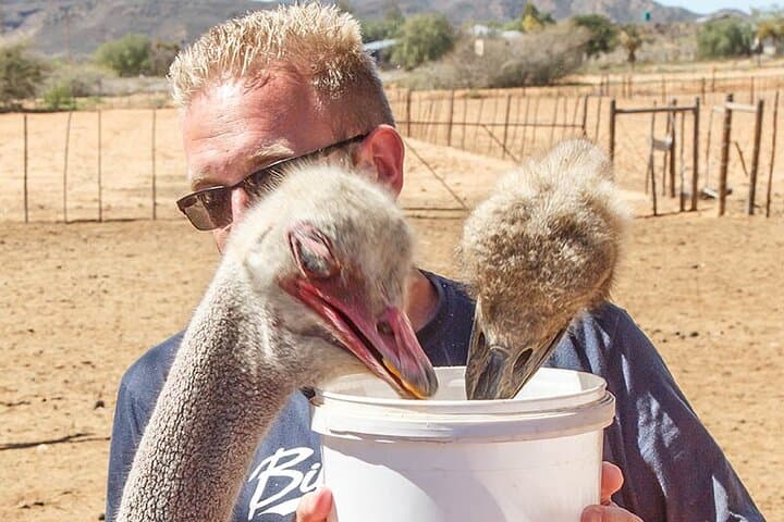 2-day Private Garden Route Tour from Cape Town