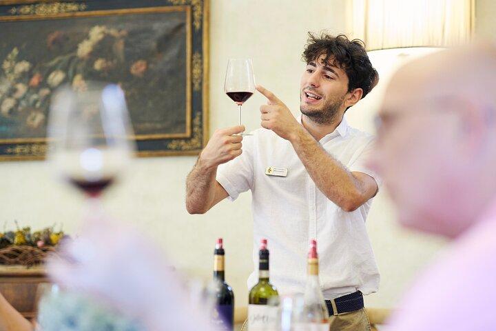 Tour and Wine Tasting, Villa Medicea Di Lilliano, Florence
