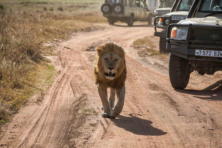 Full Day Serenity Adventure in Tarangire National Park