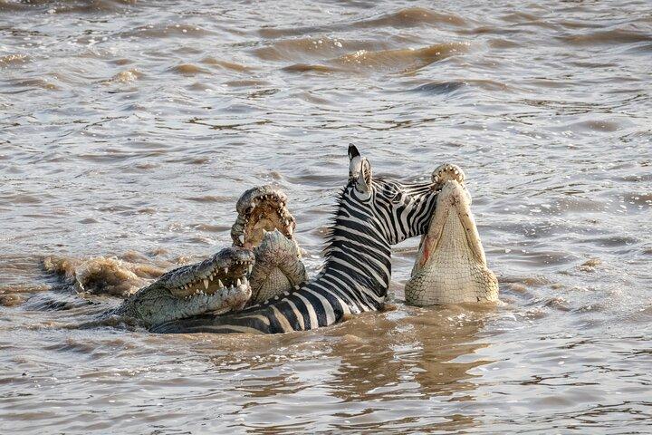 Full Day Serenity Adventure in Tarangire National Park