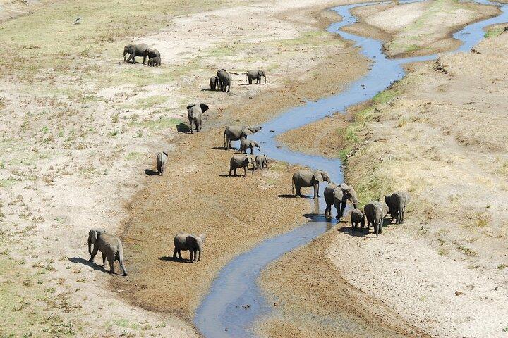 Northern Circuit Safari: 7Days from Arusha - Tanzania’s Top Parks