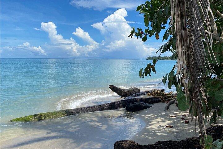 Hike Adventure in Cahuita National Park