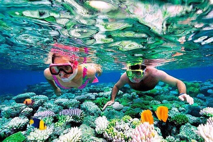 1 Hour Private Snorkeling Activity In Montego Bay