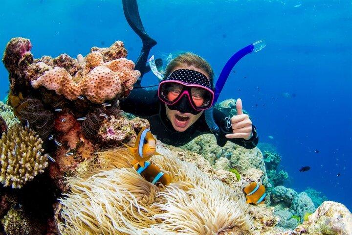 Margaritaville/Jeski Tour or Snorkeling in Montego Bay