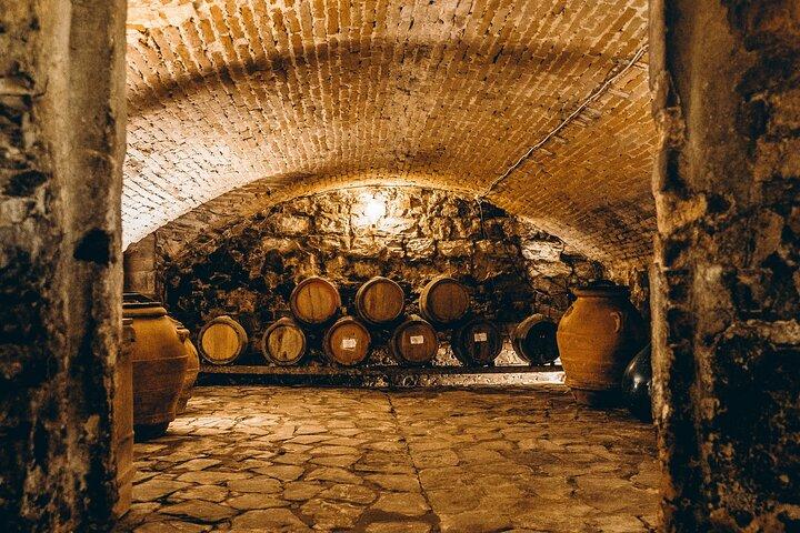 Tour and Wine Tasting, Villa Medicea Di Lilliano, Florence