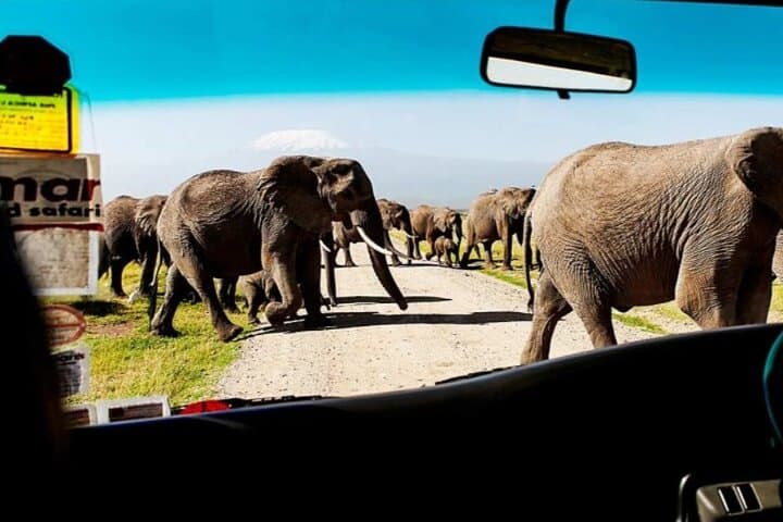 Overnight Amboseli National Park Safari from Nairobi