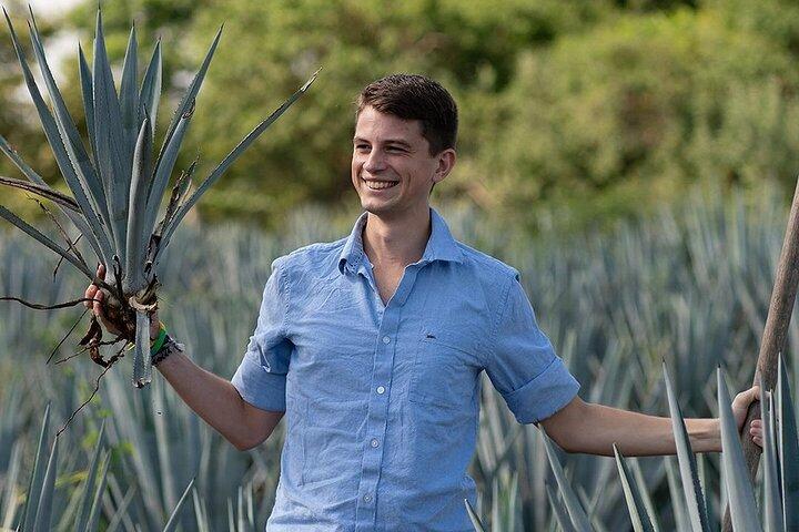 Private Tour to El Tequileño Distillery and visit to Tequila