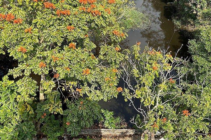 Tour for Nature lover- Lung Ngoc Hoang Nature Reserve in Can Tho