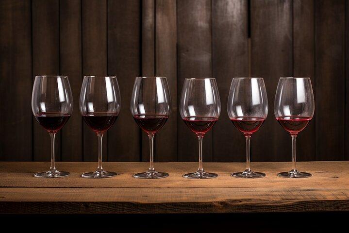 Unusual wine tasting in DARWIN (Bordeaux)!