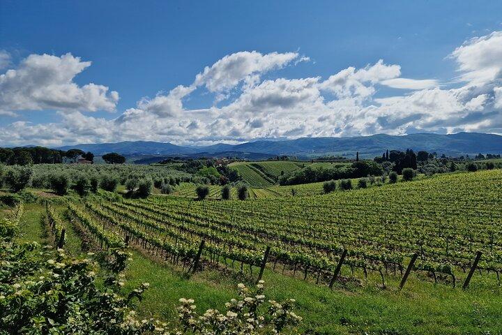 THE MASTER of Chianti Classico 3 Top Wineries Limousine Service