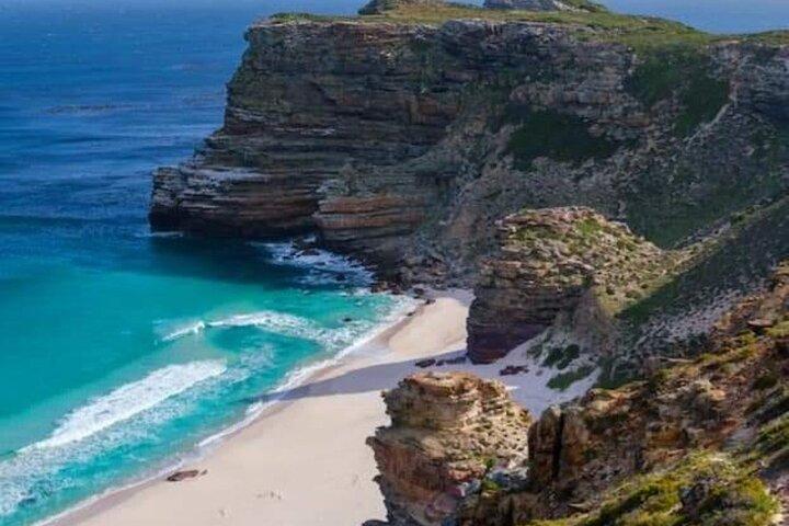 One Day Cape of Good and Penguin Colony Expedition from Cape Town