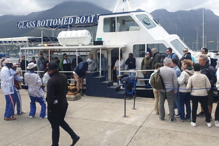 Cape Peninsula penguins, seals and wine Tasting Sharing Tour