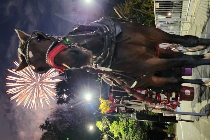 Full loop Private Horse Carriage Ride in Central Park 45 Minutes