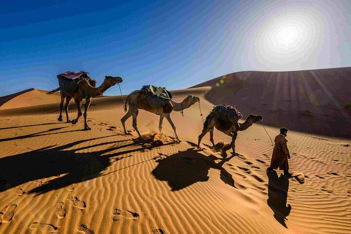 Pushkar: Sunset Camel Safari with Hotel Pick up & Drop off