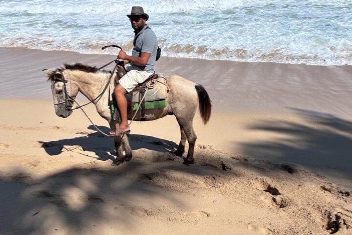 Horseback Riding on the Beaches Fields and Forests of Punta Cana