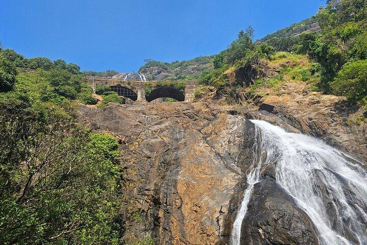 Dudhsagar Waterfalls, Jeep Safari & Spice Plantation private tour