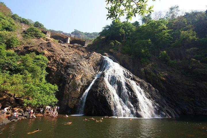 Dudhsagar Waterfalls, Jeep Safari & Spice Plantation private tour