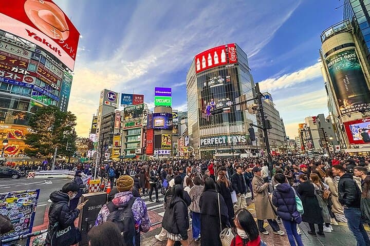 Tokyo Private Guided 1/2-Day Walking Subway Tour English guide