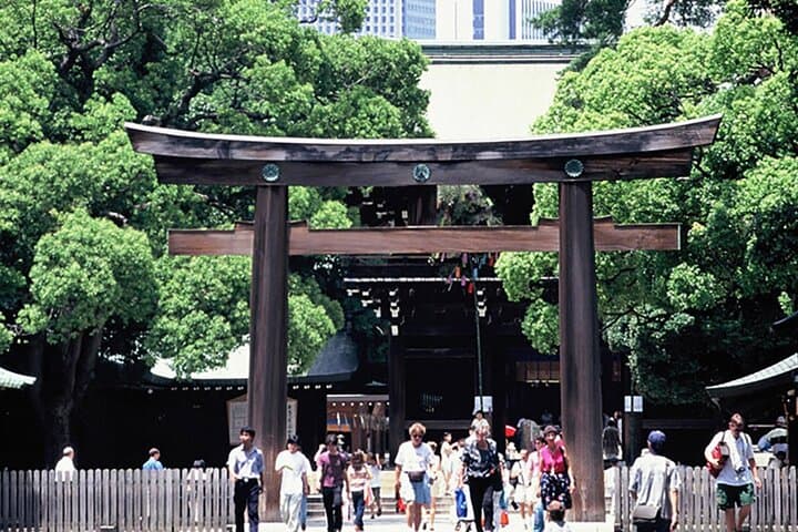 Tokyo Private Guided 1/2-Day Walking Subway Tour English guide