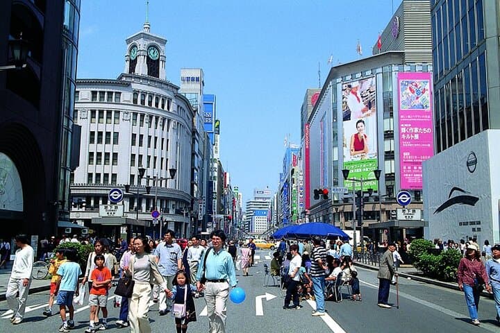 Tokyo Private Guided 1/2-Day Walking Subway Tour English guide