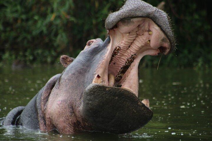 3 Days Tanzania Budget Group Joining Safari Tour