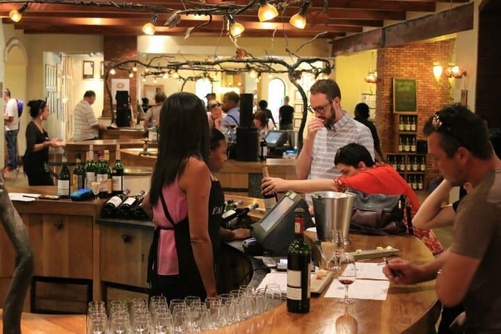 Wine Tasting Private Tour in Cape Winelands