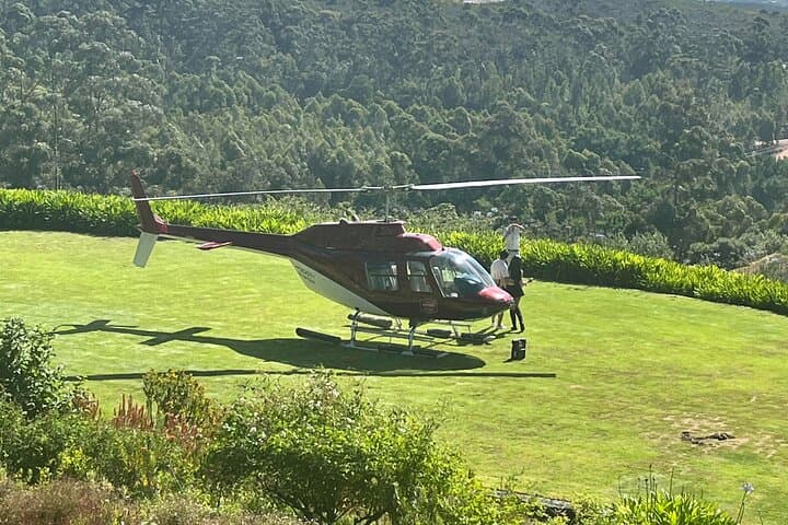 Wine Tasting Private Tour in Cape Winelands