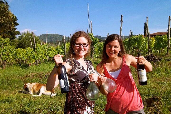 Guided Wine Tasting Experience in a Roman Vineyard