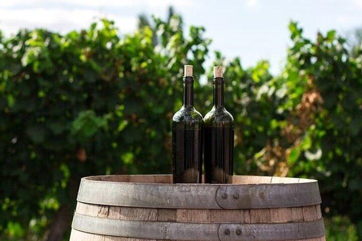 Full Day Korcula and Peljesac Wine Tasting Tour in Dubrovnik