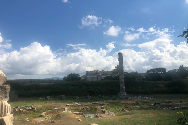 Private Express Ephesus Tour from Izmir Port / Cruisers only
