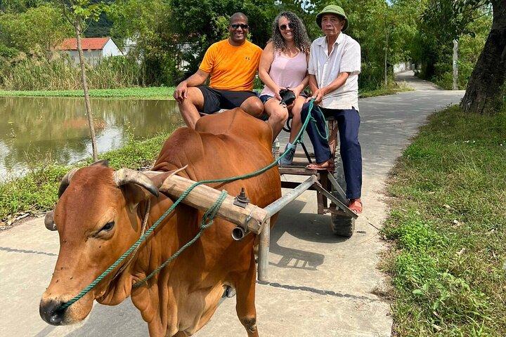2 Day Private Tour in Ninh Binh with Mini Resort or 4 Star Hotel
