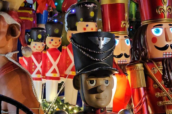 NYC Private Holiday Lights Tour