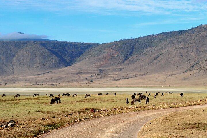 4 Days Shared Camping Safari to Tarangire and Serengeti