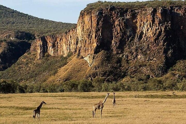 1 Day trip to Hells Gate National Park and Lake Naivasha