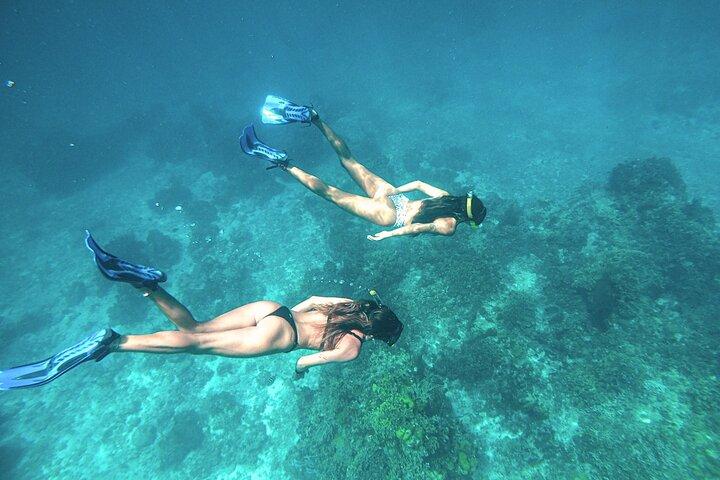 El Cielo Cozumel Snorkel Share Boat + Reefs + Food Drinks + Beach