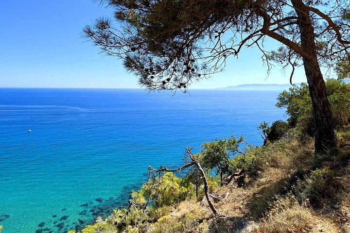 Paphos: Akamas Gorge & Turtle Bay & Donkey Farm Jeep Safari Tour