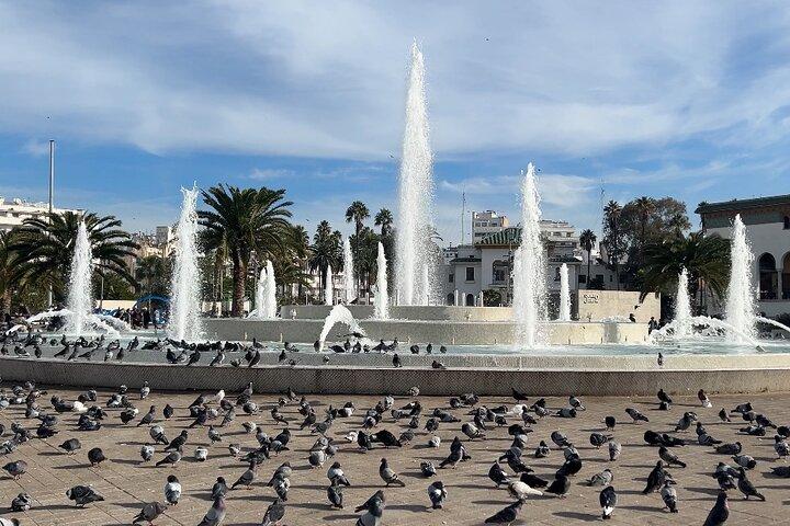 Casablanca and Morocco Shared Walking Tour with Licensed Guide