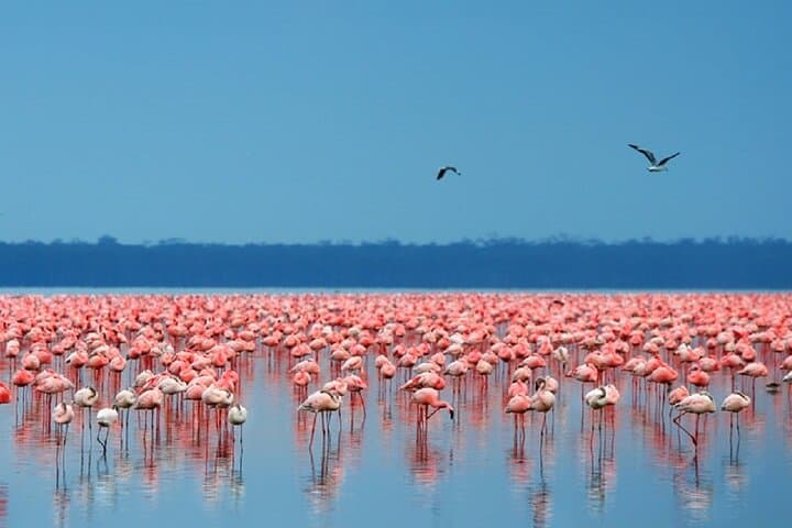 Overnight Hell's Gate & Lake Nakuru National Park From Nairobi
