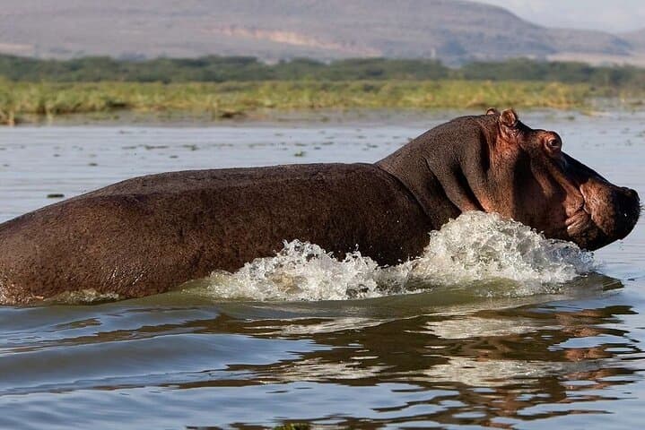 Overnight Hell's Gate & Lake Nakuru National Park From Nairobi