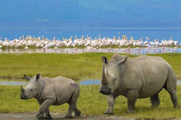 Overnight Hell's Gate & Lake Nakuru National Park From Nairobi