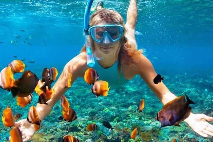 Nha Trang Bay: Explore Half-day Snorkeling at Coral Reef