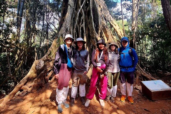 Bangkok: Khao Yai Nature Trails & Heaw Suwat Waterfall
