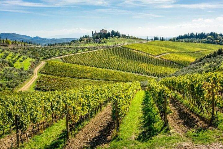 Full Day Tour in Chianti with Transportation Included