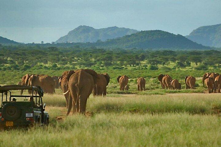 3 Days Samburu National Park Safari All Inclusive
