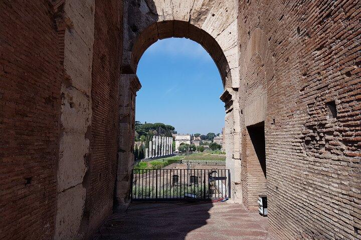 ROME:Colosseum, forum & palatin hill guided tour - private/group