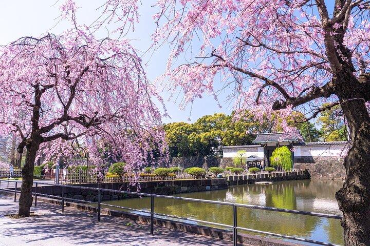 Tokyo Private Tour: Imperial Palace East Gardens, Edo Castle Site