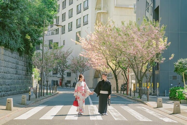1 Hour Travel around Tokyo with a Professional Photographer